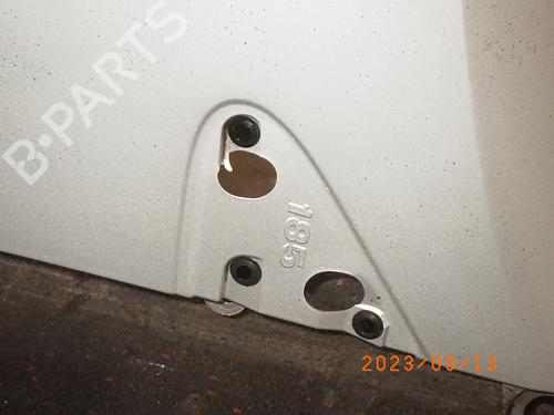 Left front fenders RENAULT CLIO III (BR0/1, CR0/1) 1.2 16V (BR02, BR0J, BR11, CR02, CR0J, CR11) | BP11700101C41 