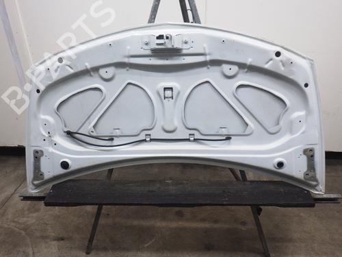 Hood RENAULT CLIO III (BR0/1, CR0/1) 1.2 16V (BR02, BR0J, BR11, CR02, CR0J, CR11) | BP24994955C1 