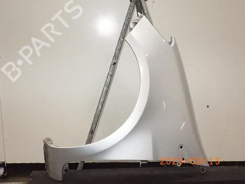 Used Left front fenders RENAULT CLIO III (BR0/1, CR0/1) 1.2 16V (BR02, BR0J, BR11, CR02, CR0J, CR11) (75 hp) 11700101