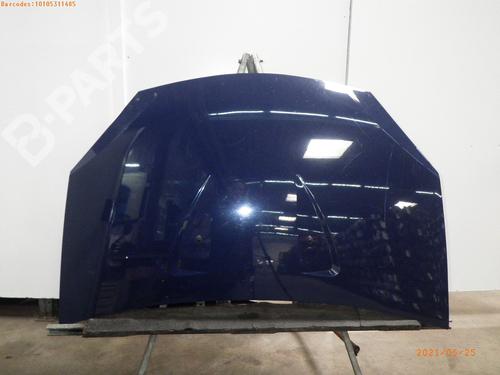 Used Hood DACIA SANDERO 1.4 (BS0C, BS0A, BS0G, BS1F, BS0E) (75 hp) 7554610