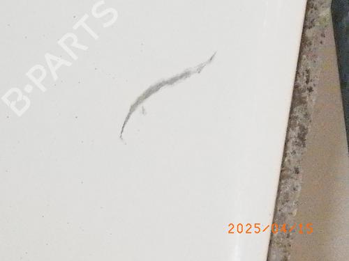 Left front fenders MERCEDES-BENZ B-CLASS Sports Tourer (W245) B 200 (245.233) | BP25119843C41 