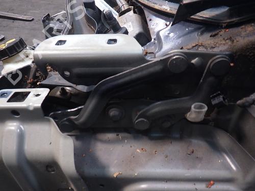 Hinge/Door check strap FORD FIESTA VI (CB1, CCN) 1.25 | BP22863958C146 
