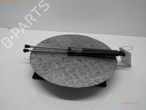 Used Tailgate lift support RENAULT CLIO III (BR0/1, CR0/1) 1.2 16V (BR02, BR0J, BR11, CR02, CR0J, CR11) (75 hp) 14753939