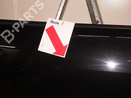 Right front door RENAULT MEGANE II Coupé-Cabriolet (EM0/1_) 2.0 | BP9163539C3 