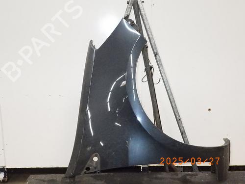 Used Right front fenders RENAULT CLIO III (BR0/1, CR0/1) 1.2 16V (BR02, BR0J, BR11, CR02, CR0J, CR11) (75 hp) 24572506