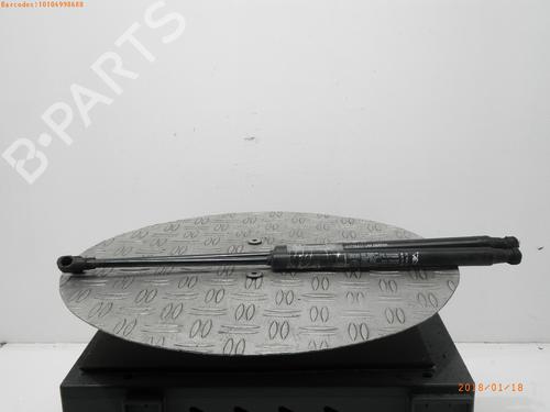 Used Tailgate lift support FIAT GRANDE PUNTO (199_) 1.4 (199AXB11, 199AXB1A, 199BXB1A, 199AXL1A) (77 hp) 14754392