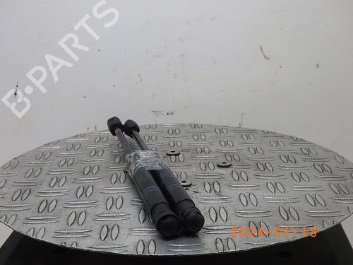 Hood lift support BMW 1 (F20) 118 i | BP16541825C139 