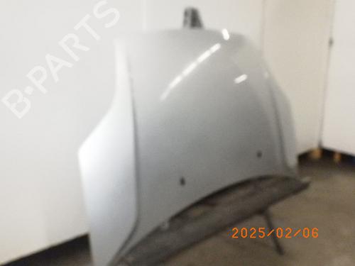 Hood FORD FIESTA V (JH_, JD_) 1.25 16V | BP23131388C1 