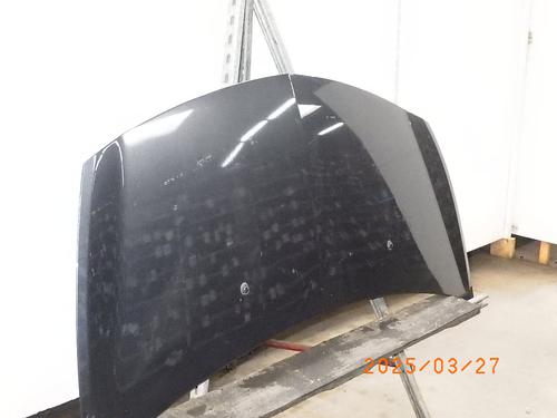 Hood RENAULT CLIO III (BR0/1, CR0/1) 1.2 16V (BR02, BR0J, BR11, CR02, CR0J, CR11) | BP24572507C1 