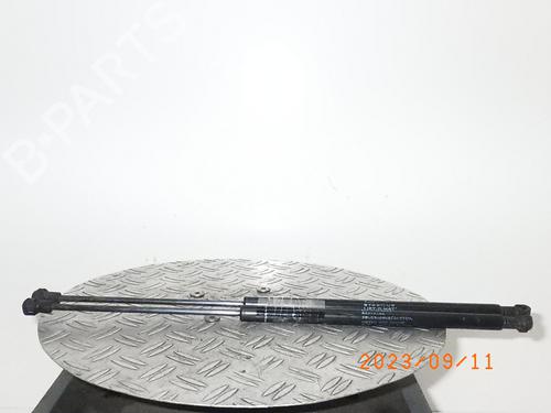 Siłownik klapy tylnej / bagażnika DAIHATSU COPEN (L880_, L881_) 1.3 BP15209806C138