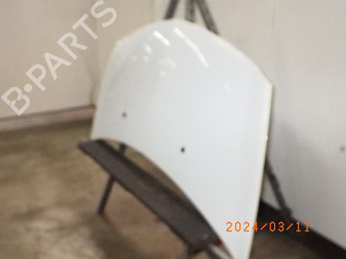 Hood RENAULT CLIO III (BR0/1, CR0/1) 1.2 16V (BR0P, CR0P) | BP16647365C1 