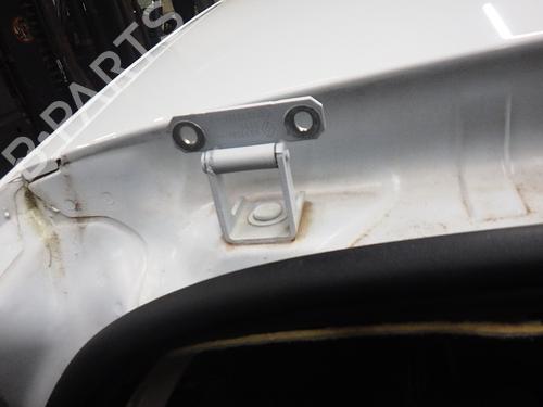 Used Hinge/Door check strap RENAULT CLIO III (BR0/1, CR0/1) 1.2 16V (BR02, BR0J, BR11, CR02, CR0J, CR11) (75 hp) 24994961