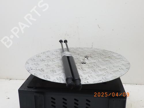 Tailgate lift support RENAULT ZOE (BFM_) ZOE (BFMC, BFMD) | BP24969231C138