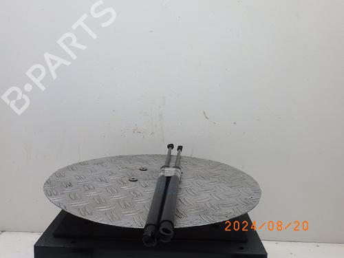 Tailgate lift support RENAULT MEGANE IV Grandtour (K9A/M/N_) 1.2 TCe 130 (K9MR) | BP19312047C138 