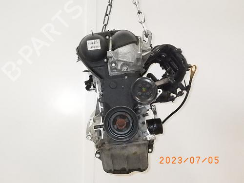 Engine FORD FIESTA VI (CB1, CCN) 1.25 (82 hp) 13689876