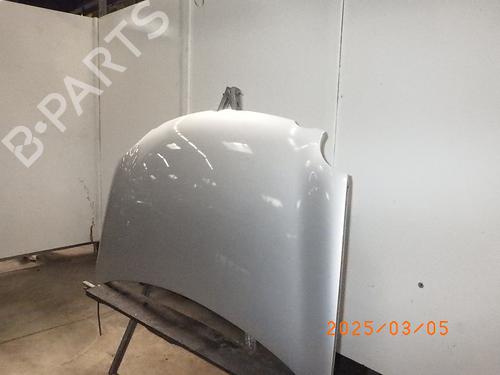 Hood VW POLO IV (9N_, 9A_) 1.2 12V | BP16454165C1 