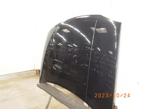 Hood VW GOLF IV (1J1) 1.6 | BP15764943C1 