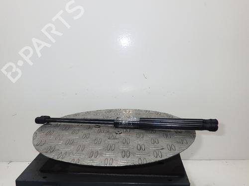 Used Tailgate lift support RENAULT MEGANE II Coupé-Cabriolet (EM0/1_) 2.0 (135 hp) 14764512