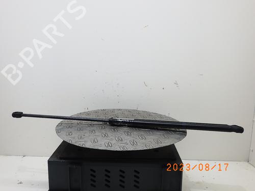 Used Hood lift support MERCEDES-BENZ SLK (R171) 200 Kompressor (171.442) (163 hp) 14940354