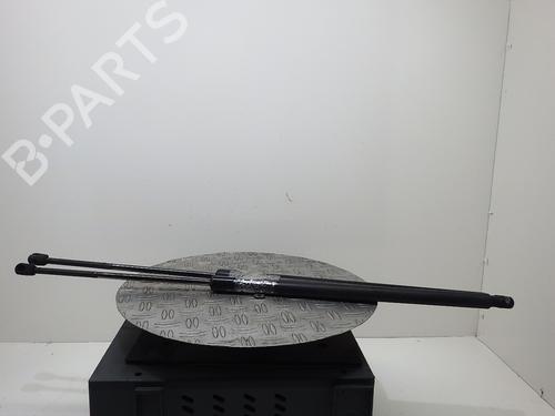 Tailgate lift support VW CADDY III MPV (2KB, 2KJ, 2CB, 2CJ) 1.9 TDI 2K0827550