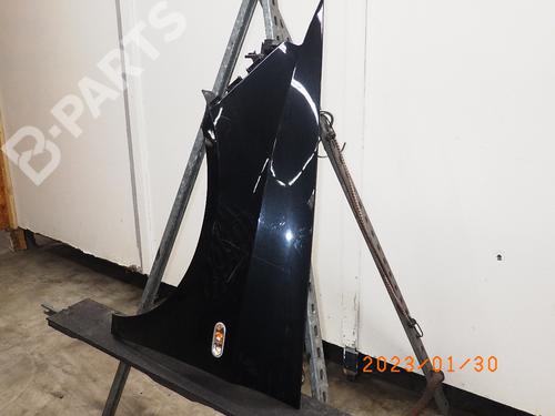 BP11789914C41 | Left front fenders SEAT IBIZA IV (6J5, 6P1) 1.2 BP11789914C41