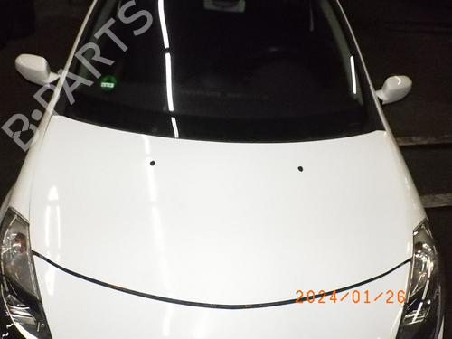 Used Hood RENAULT CLIO III (BR0/1, CR0/1) 1.2 16V (BR0P, CR0P) (101 hp) 16647365