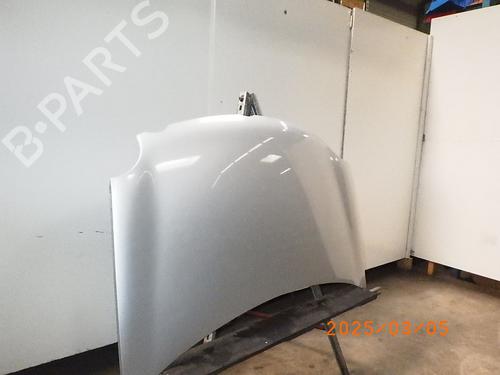 Hood VW POLO IV (9N_, 9A_) 1.2 12V | BP16454165C1 