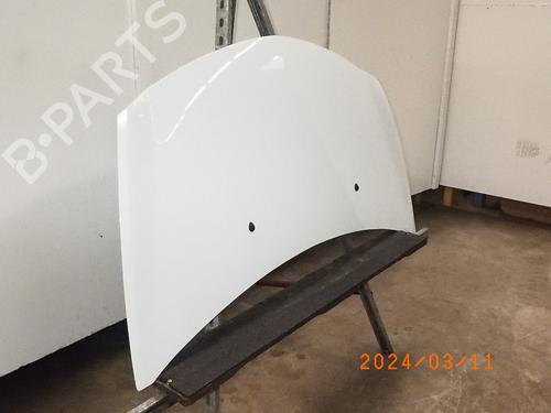 Hood RENAULT CLIO III (BR0/1, CR0/1) 1.2 16V (BR0P, CR0P) | BP16647365C1 