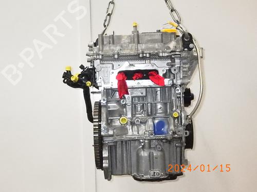 Engine DACIA SANDERO II TCe 90 (B8M1, B8MA, B8AC) | BP16493175M1 