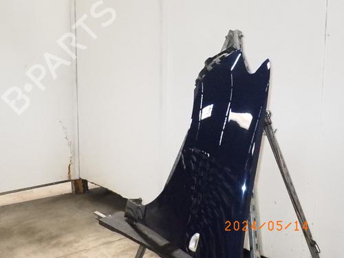 Left front fenders DACIA SANDERO 1.2 16V LPG | BP17896567C41 