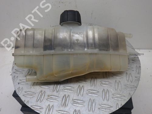 Used Expansion tank RENAULT CLIO III (BR0/1, CR0/1) 1.2 16V (BR02, BR0J, BR11, CR02, CR0J, CR11) (75 hp) 22199627