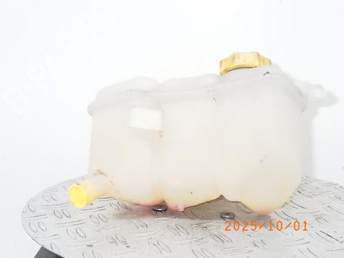 Used Expansion tank FORD FIESTA V (JH_, JD_) 1.3 (60 hp) 29311913