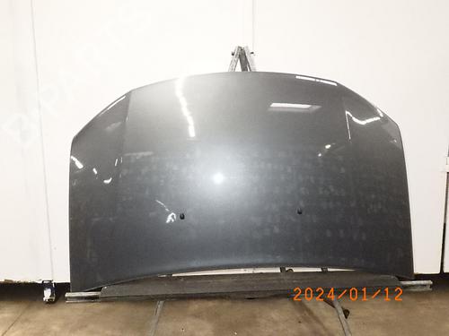 Used Hood DACIA SANDERO II TCe 90 (B8M1, B8MA, B8AC) (90 hp) 16482985