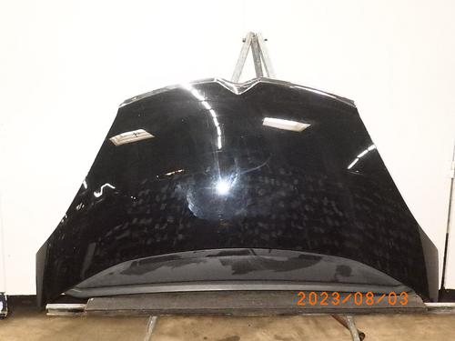 Hood CITROËN C4 Picasso I MPV (UD_) 1.6 THP 155 BP14457941C1