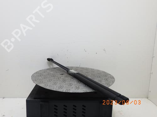 Tailgate lift support CITROËN C4 Picasso I MPV (UD_) 1.6 THP 155 | BP14765711C138 