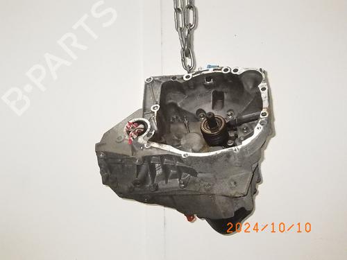 Used Gearbox RENAULT CLIO III (BR0/1, CR0/1) 1.2 16V (BR02, BR0J, BR11, CR02, CR0J, CR11) (75 hp) 290560