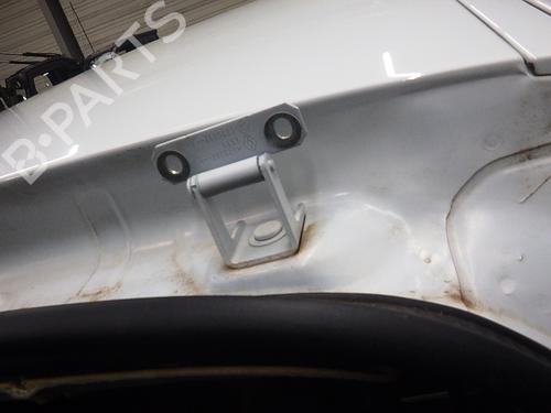 Used Hinge/Door check strap RENAULT CLIO III (BR0/1, CR0/1) 1.2 16V (BR02, BR0J, BR11, CR02, CR0J, CR11) (75 hp) 24994962