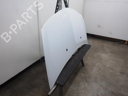 Hood RENAULT CLIO III (BR0/1, CR0/1) 1.2 16V (BR02, BR0J, BR11, CR02, CR0J, CR11) | BP24994955C1 