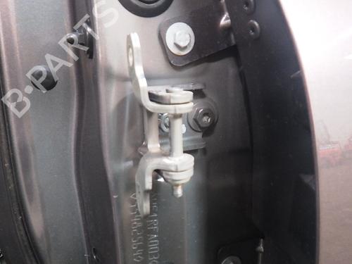 Hinge/Door check strap RENAULT SCÉNIC IV (J9_) 1.2 TCe 115 | BP22863985C146 