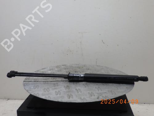 Used Tailgate lift support RENAULT ZOE (BFM_) ZOE (BFMC, BFMD) (136 hp) 24969231