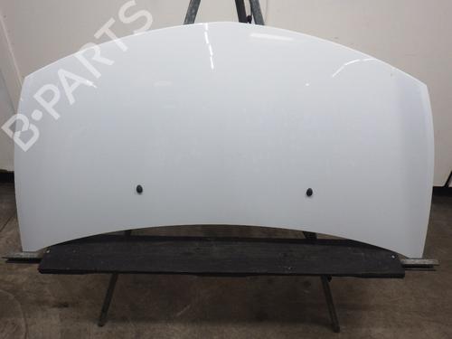 Used Hood RENAULT CLIO III (BR0/1, CR0/1) 1.2 16V (BR02, BR0J, BR11, CR02, CR0J, CR11) (75 hp) 24994955