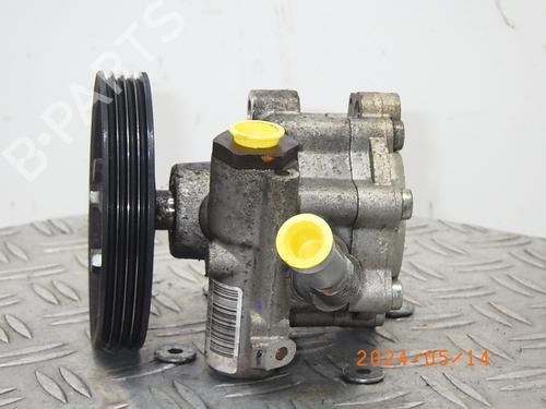 Steering pump DACIA SANDERO 1.2 16V LPG | BP17896588M99 
