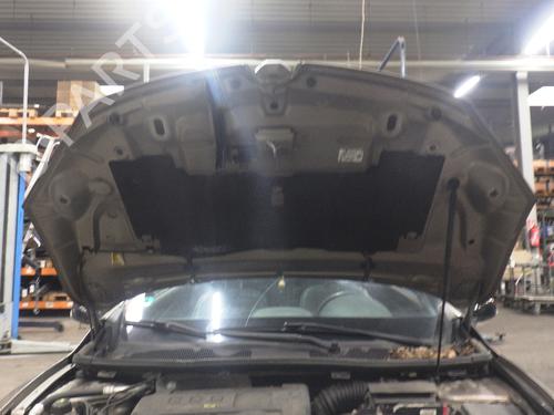 Hood RENAULT MEGANE CC (EZ0/1_) 1.4 TCe (EZ0F, EZ1V) | BP30090516C1 
