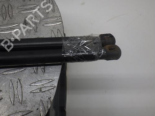 Tailgate lift support BMW 3 Touring (E91) 320 d | BP14755621C138 