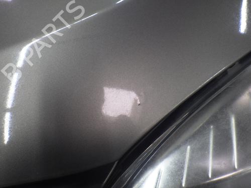 Hood RENAULT MEGANE CC (EZ0/1_) 1.4 TCe (EZ0F, EZ1V) | BP30090516C1 