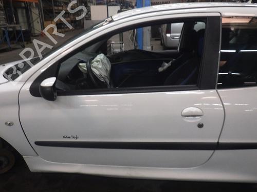 Porta anteriore sinistra PEUGEOT 206+ (2L_, 2M_) 1.1 (60 hp) 30499485