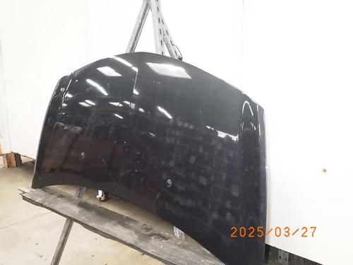 Hood RENAULT CLIO III (BR0/1, CR0/1) 1.2 16V (BR02, BR0J, BR11, CR02, CR0J, CR11) | BP24572507C1 