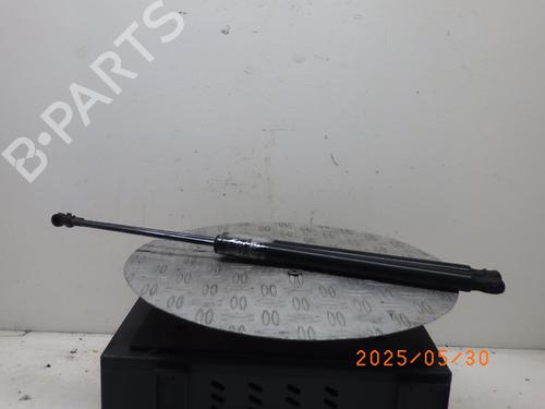 Used Tailgate lift support VW GOLF VII (5G1, BQ1, BE1, BE2) 1.6 TDI (105 hp) 26301962