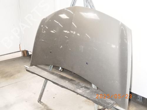 Hood RENAULT CLIO III (BR0/1, CR0/1) 1.2 16V (BR02, BR0J, BR11, CR02, CR0J, CR11) | BP26179322C1 