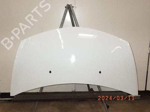Hood RENAULT CLIO III (BR0/1, CR0/1) 1.2 16V (BR0P, CR0P) | BP16647365C1 